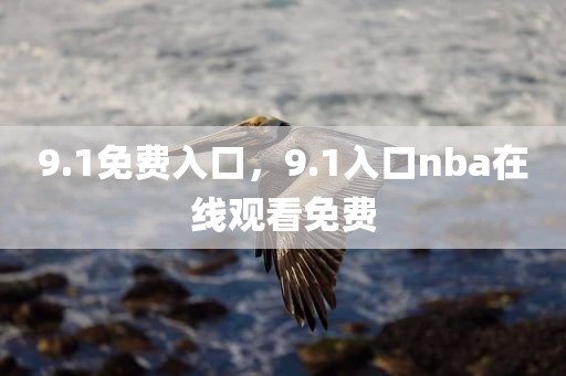 9.1免费入口，9.1入口nba在线观看免费