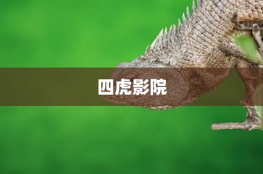 四虎影院