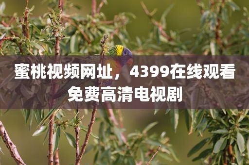 蜜桃视频网址，4399在线观看免费高清电视剧