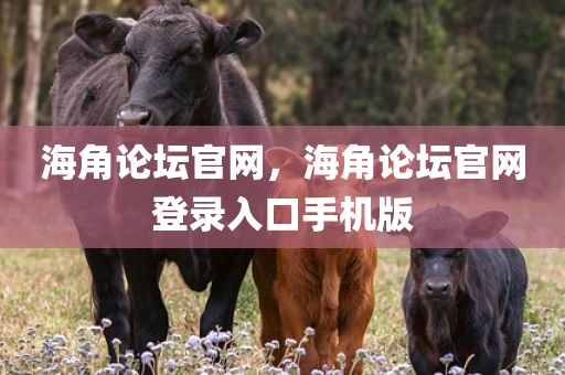 海角论坛官网，海角论坛官网登录入口手机版