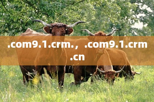 .com9.1.crm.，.com9.1.crm.cn