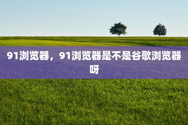 91浏览器，91浏览器是不是谷歌浏览器呀