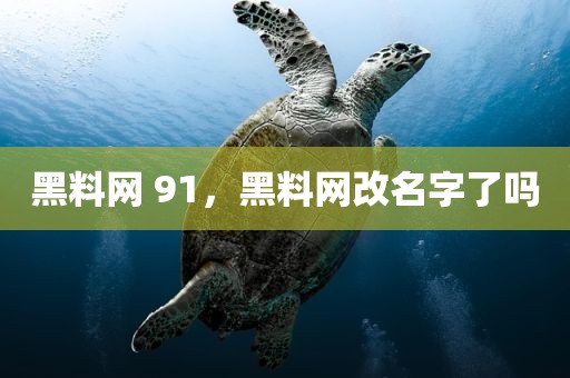 黑料网 91，黑料网改名字了吗