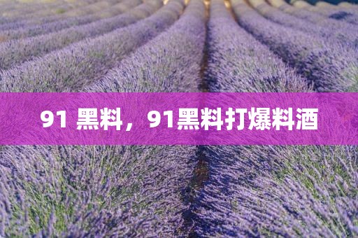 91 黑料，91黑料打爆料酒