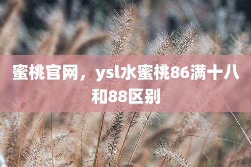 蜜桃官网，ysl水蜜桃86满十八和88区别
