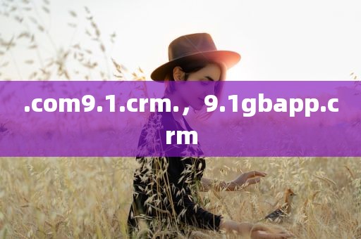 .com9.1.crm.，9.1gbapp.crm