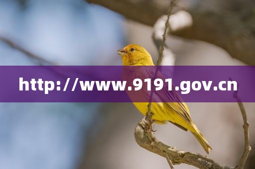 http://www.9191.gov.cn