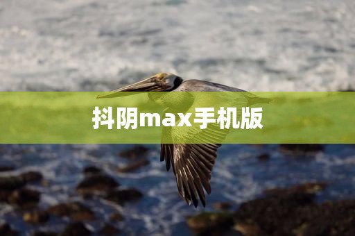 抖阴max手机版
