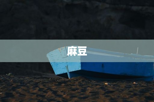麻豆