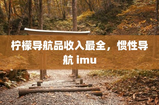 柠檬导航品收入最全，惯性导航 imu