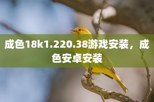 成色18k1.220.38游戏安装，成色安卓安装