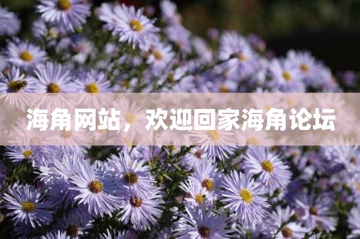 海角网站，欢迎回家海角论坛