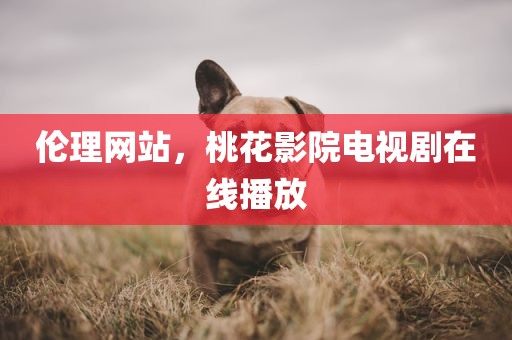 伦理网站，桃花影院电视剧在线播放