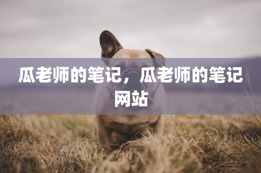 瓜老师的笔记，瓜老师的笔记网站