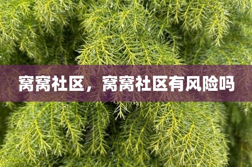窝窝社区，窝窝社区有风险吗
