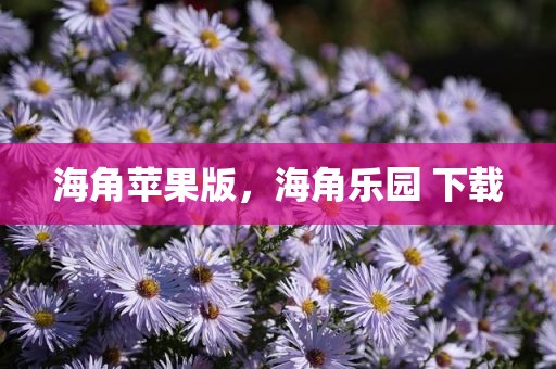 海角苹果版，海角乐园 下载