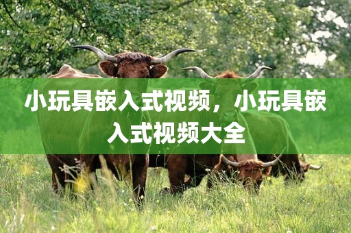 小玩具嵌入式视频，小玩具嵌入式视频大全