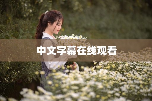 中文字幕在线观看