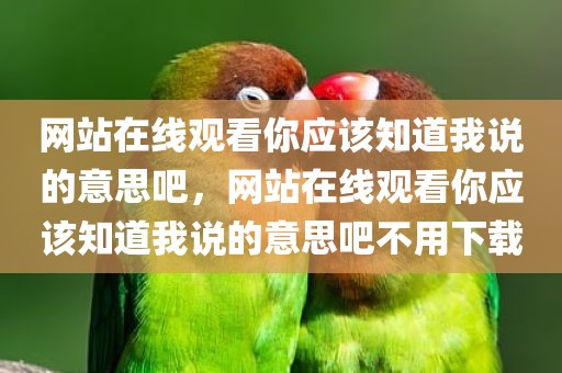 网站在线观看你应该知道我说的意思吧，网站在线观看你应该知道我说的意思吧不用下载