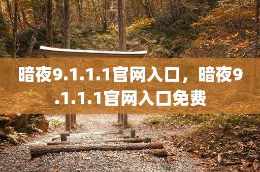 暗夜9.1.1.1官网入口，暗夜9.1.1.1官网入口免费
