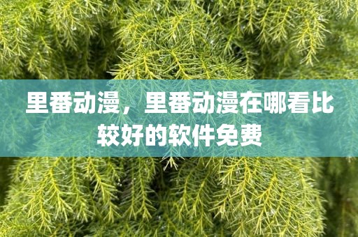 里番动漫，里番动漫在哪看比较好的软件免费