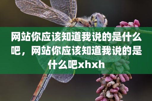 网站你应该知道我说的是什么吧，网站你应该知道我说的是什么吧xhxh
