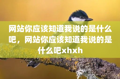 网站你应该知道我说的是什么吧，网站你应该知道我说的是什么吧xhxh
