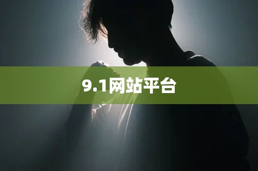 9.1网站平台