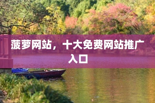 菠萝网站，十大免费网站推广入口