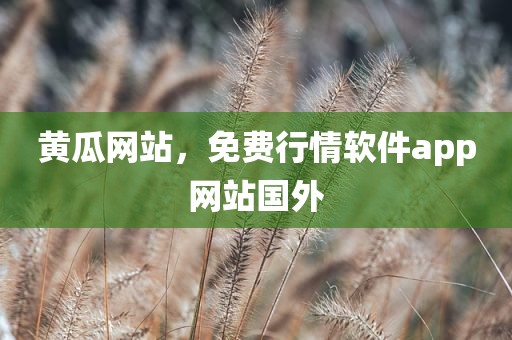 黄瓜网站，免费行情软件app网站国外