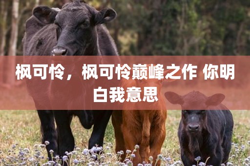 枫可怜，枫可怜巅峰之作 你明白我意思