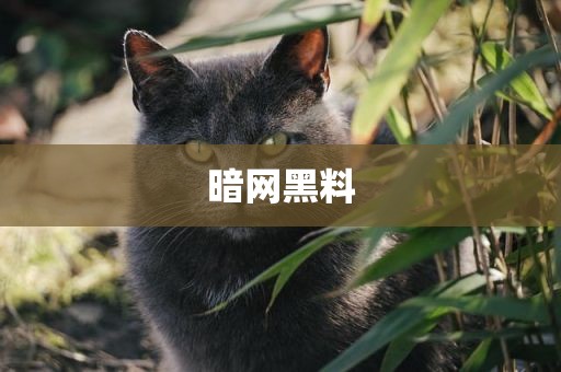 暗网黑料