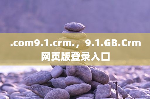 .com9.1.crm.，9.1.GB.Crm网页版登录入口