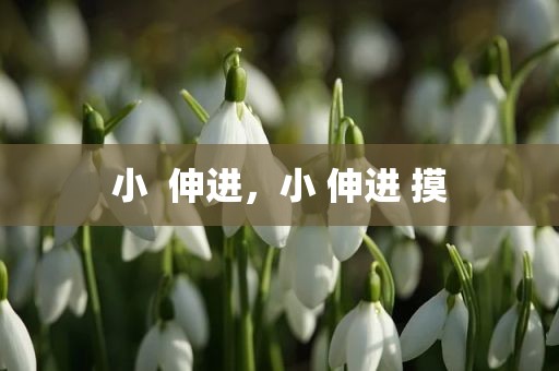 小  伸进，小 伸进 摸