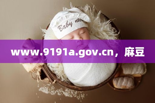 www.9191a.gov.cn，麻豆