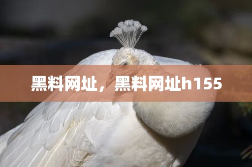 黑料网址，黑料网址h155