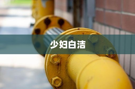 少妇白洁