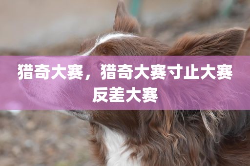 猎奇大赛，猎奇大赛寸止大赛反差大赛