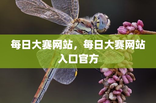 每日大赛网站，每日大赛网站入口官方