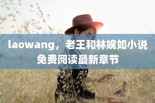 laowang，老王和林婉如小说免费阅读最新章节