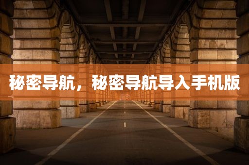 秘密导航，秘密导航导入手机版