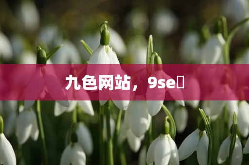 九色网站，9se 