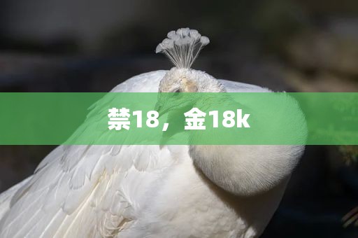禁18，金18k