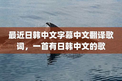 最近日韩中文字幕中文翻译歌词，一首有日韩中文的歌