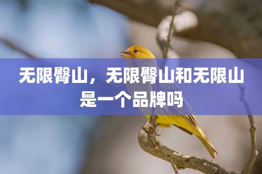 无限臀山，无限臀山和无限山是一个品牌吗