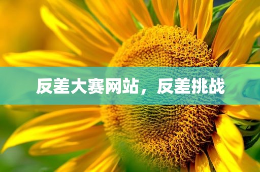 反差大赛网站，反差挑战