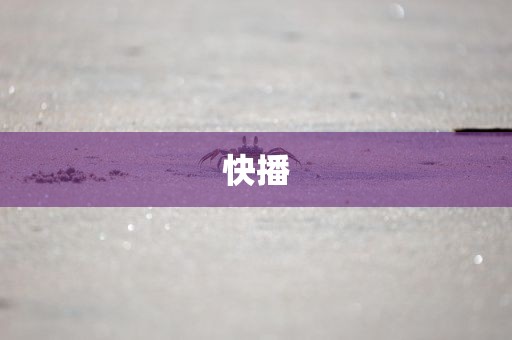 快播