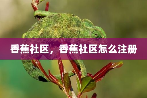 香蕉社区，香蕉社区怎么注册