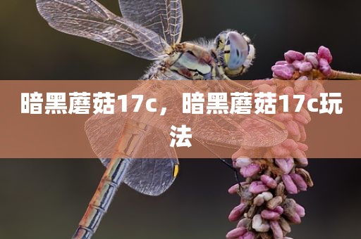 暗黑蘑菇17c，暗黑蘑菇17c玩法