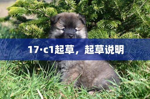 17·c1起草，起草说明